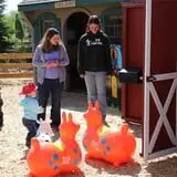 Davis Farmland & Mega Maze photo
