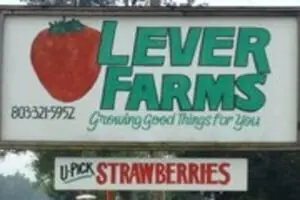 Lever Farms Fall Fun