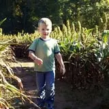 Lever Farms Fall Fun photo