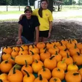 Lever Farms Fall Fun photo