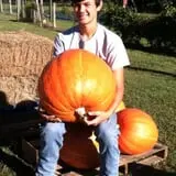 Lever Farms Fall Fun photo