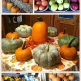 Lever Farms Fall Fun photo