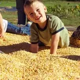 Lever Farms Fall Fun photo