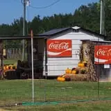 Lever Farms Fall Fun photo