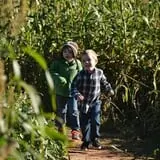 Lever Farms Fall Fun photo