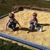 Lever Farms Fall Fun photo