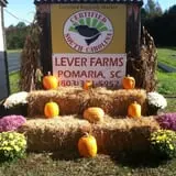 Lever Farms Fall Fun photo