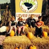 Lever Farms Fall Fun photo