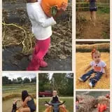 Lever Farms Fall Fun photo