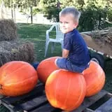 Lever Farms Fall Fun photo