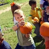 Lever Farms Fall Fun photo