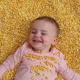 Lever Farms Fall Fun photo