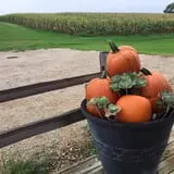 Royal Farms Fresh Market & Winery photo