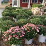 Royal Farms Fresh Market & Winery photo