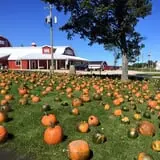 Royal Farms Fresh Market & Winery photo