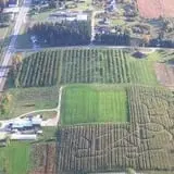 Royal Farms Fresh Market & Winery photo
