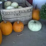 Royal Farms Fresh Market & Winery photo