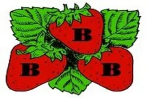 Triple B Farms Fall Festival