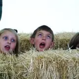 Meyer's Farm Market photo
