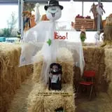 Meyer's Farm Market photo