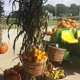Meyer's Farm Market photo