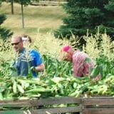 Meyer's Farm Market photo