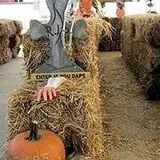 Meyer's Farm Market photo