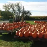 Meyer's Farm Market photo