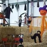 Meyer's Farm Market photo