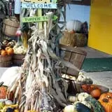 Meyer's Farm Market photo