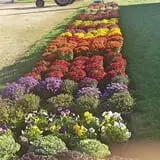 Meyer's Farm Market photo