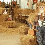 Meyer's Farm Market photo