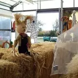 Meyer's Farm Market photo