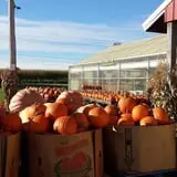 Meyer's Farm Market photo