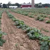 Meyer's Farm Market photo