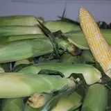 Meyer's Farm Market photo