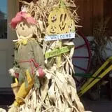 Meyer's Farm Market photo