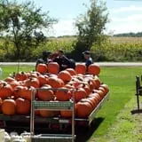 Meyer's Farm Market photo