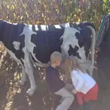 Fair Weather Acres Fall Festival photo