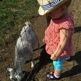 Fair Weather Acres Fall Festival photo