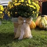 Fair Weather Acres Fall Festival photo