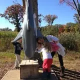 Fair Weather Acres Fall Festival photo