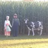 Fair Weather Acres Fall Festival photo