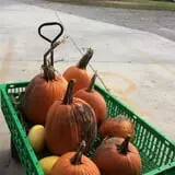 Christ Orchard photo