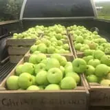 Christ Orchard photo