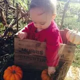 Morris Farm Market photo