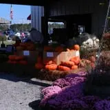 Morris Farm Market photo