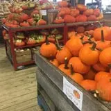 Morris Farm Market photo