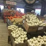 Morris Farm Market photo