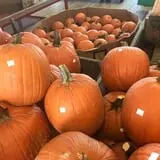 Morris Farm Market photo